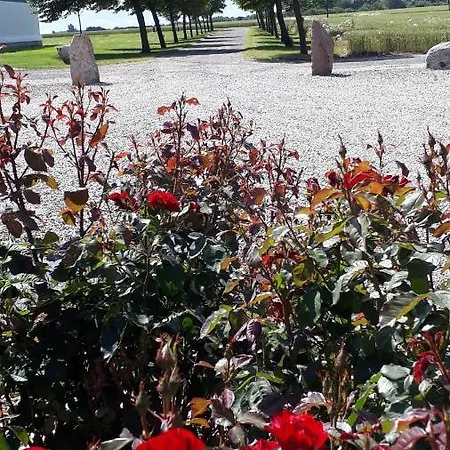 Agnes Guest house 3*