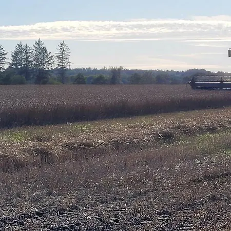 Agnes بيت ضيافة Bække