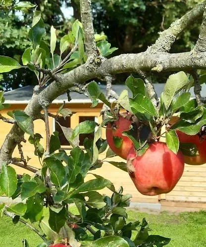 بيت ضيافة Agnes