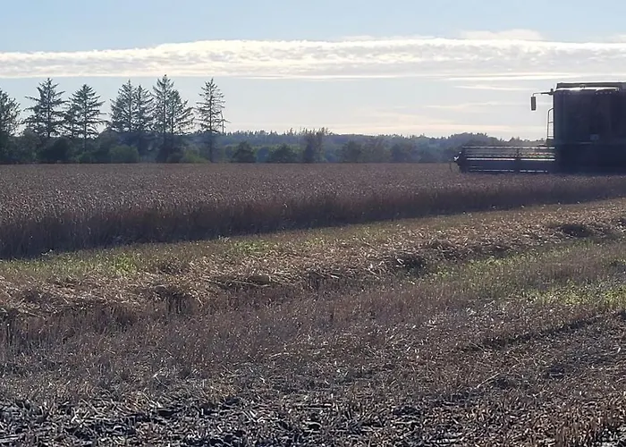 Agnes بيت ضيافة Bække